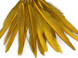 1 Pack - Antique Gold Duck Primary Wing Pointer Feathers 0.50 Oz.