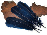 6 Pieces - Navy Blue Turkey Rounds Secondary Wing Quill Feathers