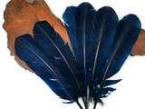 1/4 Lb - Navy Blue Turkey Tom Rounds Secondary Wing Quill Wholesale Feathers (Bulk)
