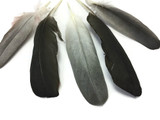 Dark grey natural cruelty free feathers