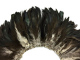1 Yard - Black Bronze Natural Strung Rooster Schlappen Wholesale Feathers (Bulk)