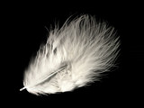 1/4 Lb - 3-4" White Turkey Marabou Short Down Fluffy Loose Wholesale Feathers (Bulk)