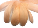 1/4 Lb - Peach Goose Nagoire Wholesale Feathers (Bulk)