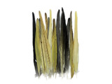 4 Pieces - Multicolor Yellow, Gray, White Cockatiel Tail Ethically Sourced Feather