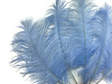 10 Pieces -  12-16" Light Blue Dyed Ostrich Tail Fancy Feathers