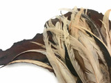 1 Pack -  8-12" Natural Beige Mix Coque Tail Strung Rooster Feathers 0.25 Oz.