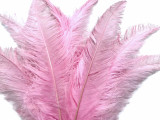 10 Pieces - 20-28" Light Pink Ostrich Spads Large Wing Feathers