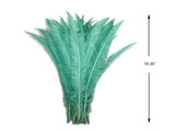 5 Pieces - Jade Green Long Ostrich Nandu Trimmed Feathers