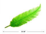1/2 Lb - Lime Green Mini Spads Ostrich Wholesale Chick Body Feathers (Bulk)