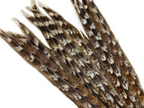 4 Pieces - Natural Brown Unique Pattern Ringneck Tail Feathers