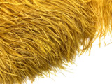 1 Yard - Antique Gold Ostrich Fringe Trim Wholesale Feather (Bulk)