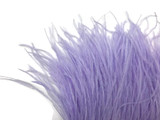 10 Yards - Lavender Ostrich Fringe Trim Wholesale Feather (Bulk)