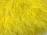 10 Yards - Yellow Ostrich Fringe Trim Wholesale Feather (Bulk)