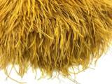 10 Yards - Antique Gold Ostrich Fringe Trim Wholesale Feather (Bulk)