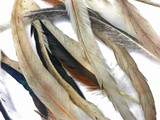 Wholesale Pack - 10-14" Natural Beige Mix Coque Tail Strung Rooster Feathers 2 Oz. (Bulk)