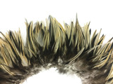1 Yard - 6-7" Natural Golden Badger Strung Chinese Rooster Saddle Wholesale Feathers (Bulk)