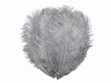 1/2 lb. - 14-17" Silver Gray Ostrich Large Body Drab Wholesale Feathers (Bulk)