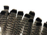 5 Pieces - Gray and Black Ruffed Grouse Tail Feathers