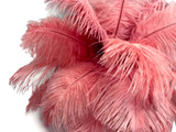 10 Pieces - 8-10" Pink Blush Ostrich Dyed Drabs Feathers