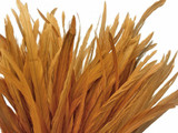 1/2 Yard -  14-16" Antique Gold Strung Natural Bleach & Dyed Rooster Coque Tail Wholesale Feathers (Bulk)