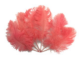 10 Pieces -  12-16" Rose Pink Dyed Ostrich Tail Fancy Feathers