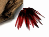 10 Pieces - Claret Dyed BLW Laced Short Rooster Cape Whiting Farms Feathers