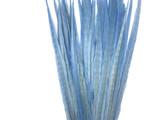 10 Pieces - 18-22" Light Blue Bleached and Dyed Long Ringneck Pheasant Tail Feathers