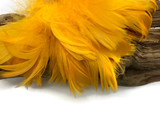 1/4 Lb - 2-3" Golden Yellow Goose Coquille Loose Feathers Wholesale (Bulk)