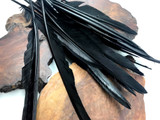 1/4 Lb. - Black Goose Pointers Long Primaries Wing Wholesale Feathers (Bulk)