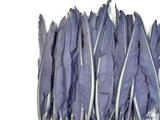 10 Pieces - Lilac Gray Goose Pointers Long Primaries Wing Feathers
