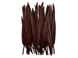 1/4 Lb. - Brown Goose Pointers Long Primaries Wing Wholesale Feathers (Bulk)