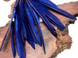 1/4 Lb. - Navy Blue Goose Pointers Long Primaries Wing Wholesale Feathers (Bulk)