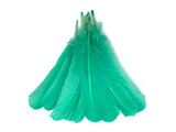 1 Lb. - Aqua Green Turkey Tom Rounds Secondary Wing Quill Wholesale Feathers (Bulk)