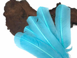 1 Lb. - Light Blue Turkey Tom Rounds Secondary Wing Quill Wholesale Feathers (Bulk)