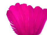 1 Lb. - Hot Pink Turkey Tom Rounds Secondary Wing Quill Wholesale Feathers (Bulk)