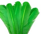 1 Lb. - Lime Green Turkey Tom Rounds Secondary Wing Quill Wholesale Feathers (Bulk)