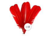 1 Lb. - Red Turkey Tom Rounds Secondary Wing Quill Wholesale Feathers (Bulk)