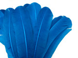 1 Lb. - Turquoise Blue Turkey Tom Rounds Secondary Wing Quill Wholesale Feathers (Bulk)