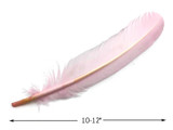 6 Pieces - Light Pink Turkey Rounds Secondary Wing Quill Feathers