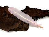 6 Pieces - Light Pink Turkey Rounds Secondary Wing Quill Feathers