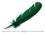 1/4 Lb - Hunter Green Turkey Tom Rounds Secondary Wing Quill Wholesale Feathers (Bulk)