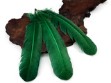 1 Lb. - Hunter Green Turkey Tom Rounds Secondary Wing Quill Wholesale Feathers (Bulk)