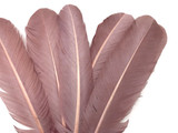 6 Pieces - Taupe Turkey Rounds Secondary Wing Quill Feathers