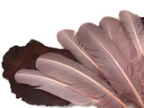 1 Lb. - Taupe Turkey Tom Rounds Secondary Wing Quill Wholesale Feathers (Bulk)