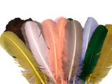6 Pieces - Peach Turkey Rounds Secondary Wing Quill Feathers