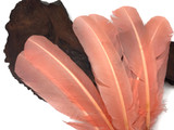 6 Pieces - Peach Turkey Rounds Secondary Wing Quill Feathers