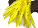 1/4 Lb. - Sunshine Yellow Goose Pointers Long Primaries Wing Wholesale Feathers (Bulk)