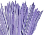 10 Pieces - Lavender Goose Pointers Long Primaries Wing Feathers