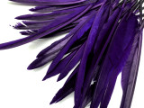 1/4 Lb. - Purple Goose Pointers Long Primaries Wing Wholesale Feathers (Bulk)