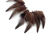 10 Pieces - Brown Jungle Cock Loose Plumage Feather